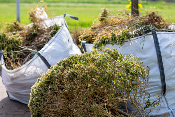 Best Garage Cleanout Services  in Lamoni, IA